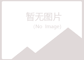 白银平川夏岚建设有限公司